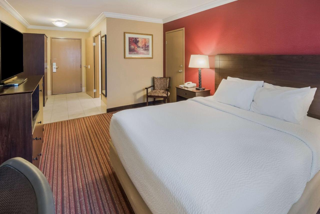 Hotel Western Sycamore